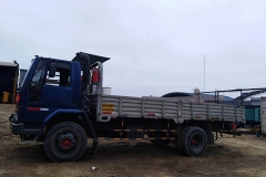 CAMION FORD